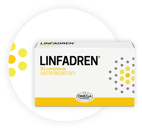 Linfadren